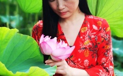 绝对丽奴漫画下载